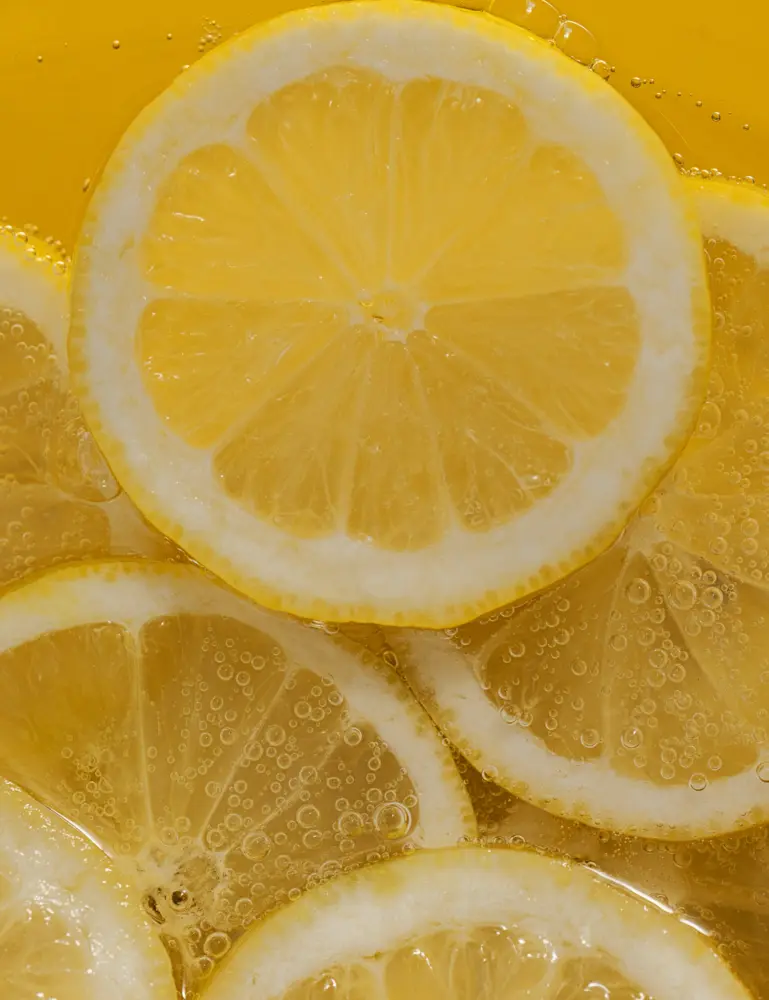 Lemon Verbena 15.7 Oz Liquid Hand Soap - Image 3